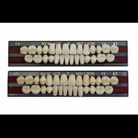 Зубы акриловые Yamahachi - планка