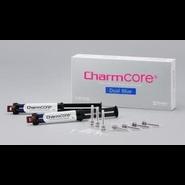 ЧамКор белый, композит 2го отверждения (2 шприца по 5мл, 20 смес.након., 20 интраоральн. канюль)