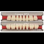 Зубы пластмассовые Cosmo HXL (планка)