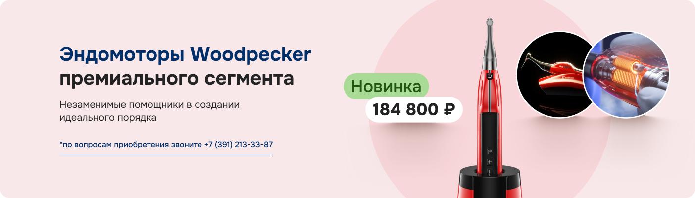 Эндомоторы Woodpecker премиального сегмента